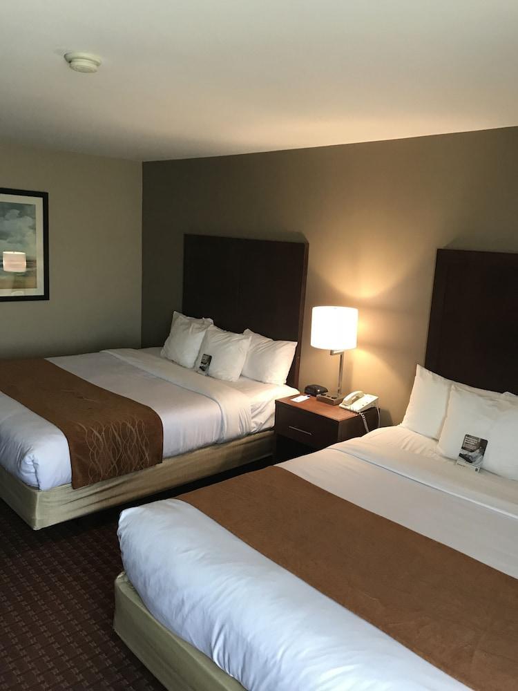 Comfort Inn Silicon Valley East Fremont Eksteriør bilde