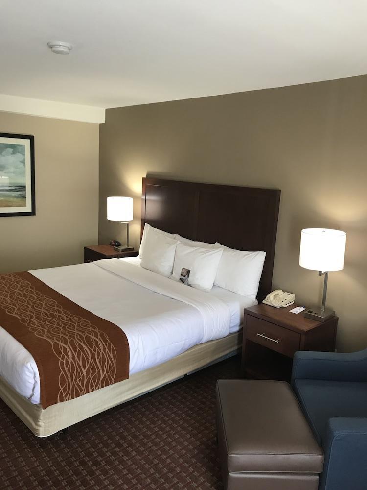 Comfort Inn Silicon Valley East Fremont Eksteriør bilde