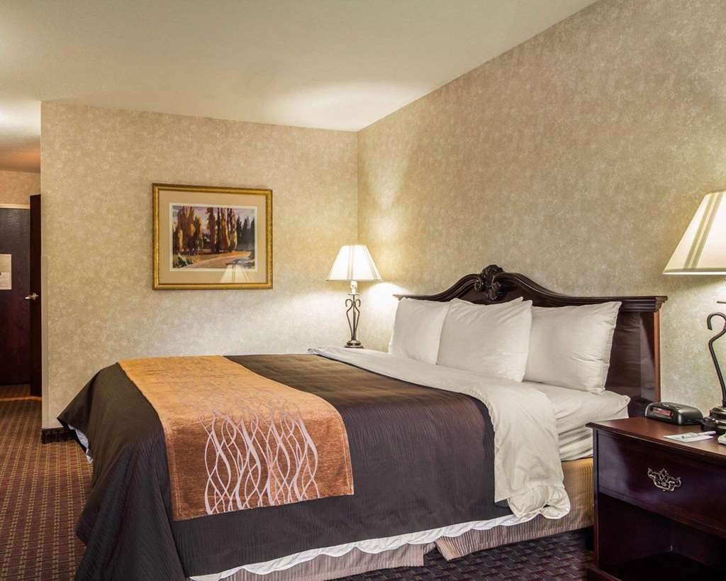 Comfort Inn Silicon Valley East Fremont Rom bilde