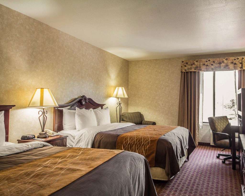 Comfort Inn Silicon Valley East Fremont Rom bilde