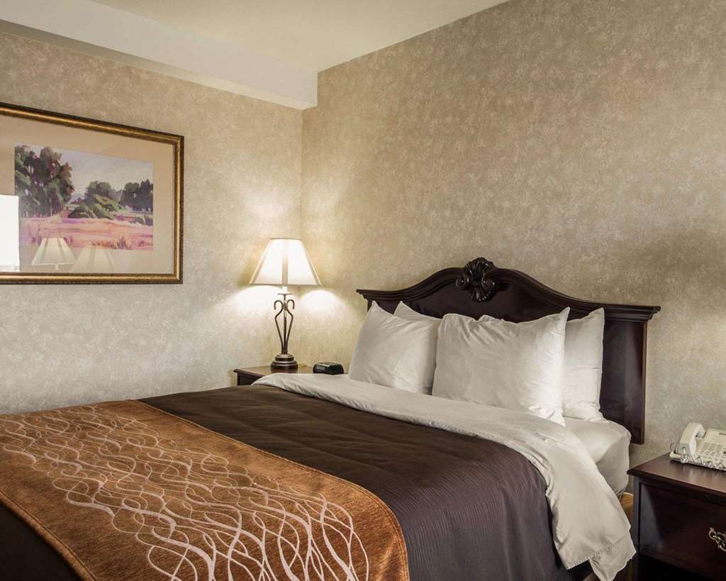 Comfort Inn Silicon Valley East Fremont Rom bilde