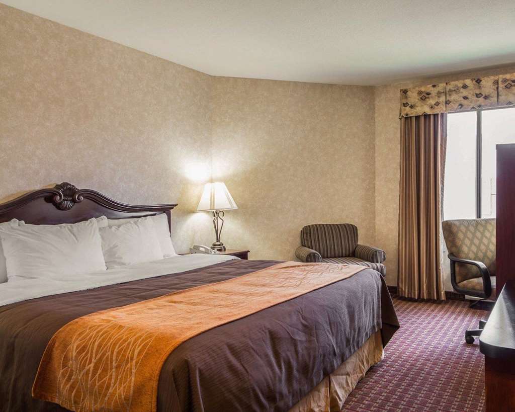Comfort Inn Silicon Valley East Fremont Rom bilde