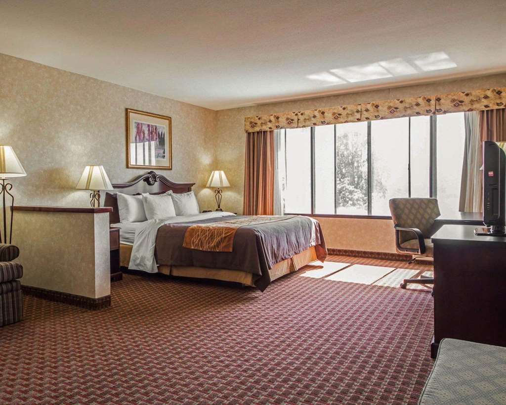 Comfort Inn Silicon Valley East Fremont Rom bilde
