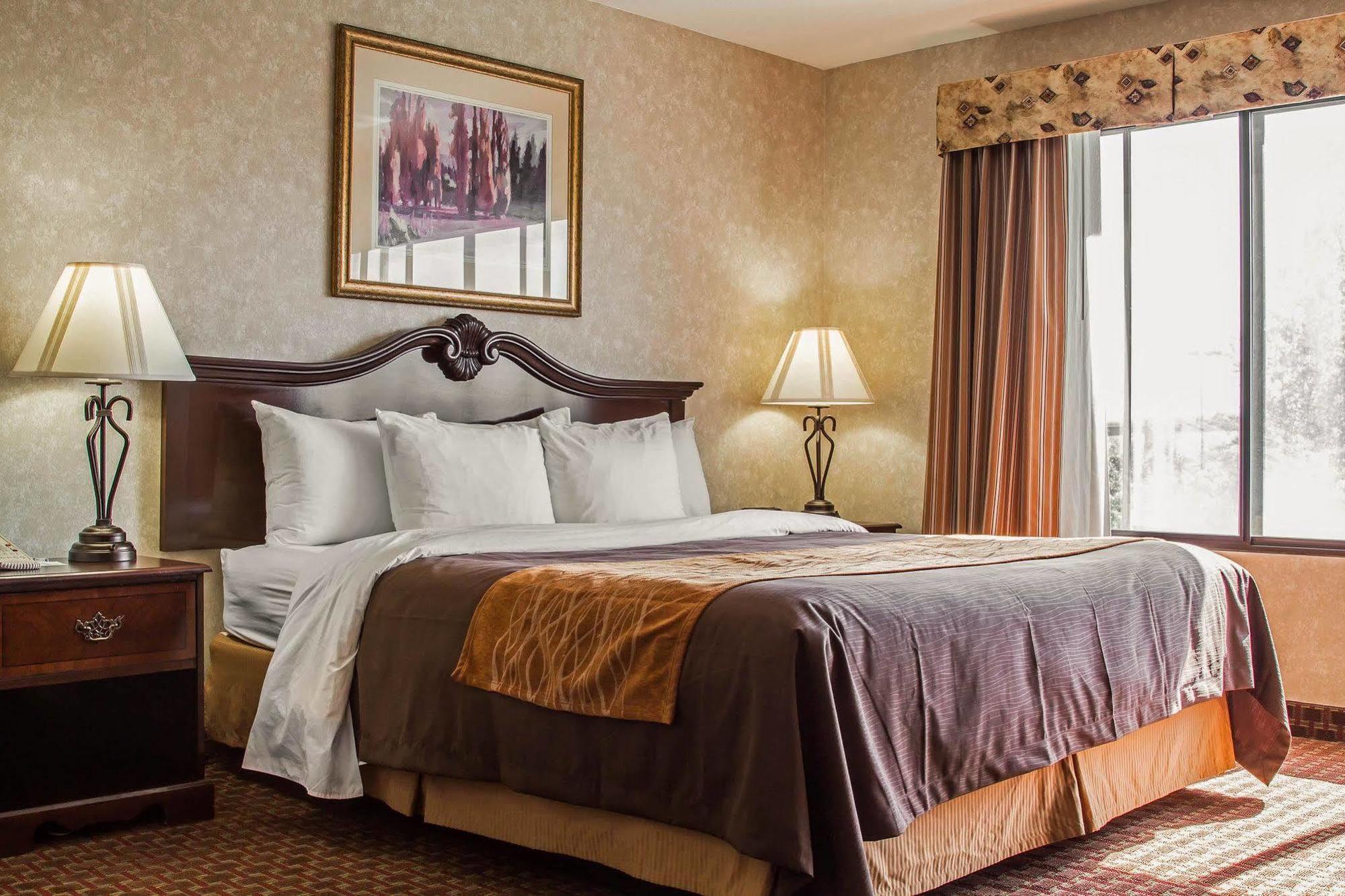 Comfort Inn Silicon Valley East Fremont Eksteriør bilde